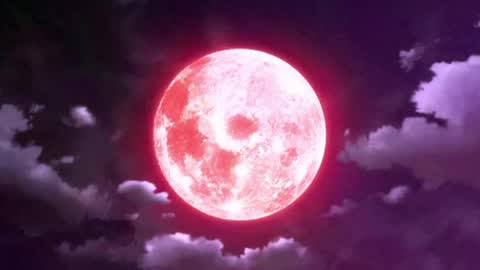 Selene G  online show from May 13, 3:05 am