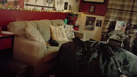 seraphyx33 online show from December 2, 11:08 am