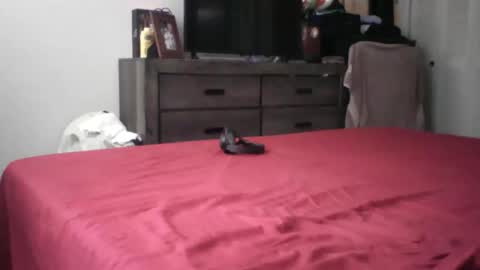 seuus2026 online show from April 15, 3:48 pm