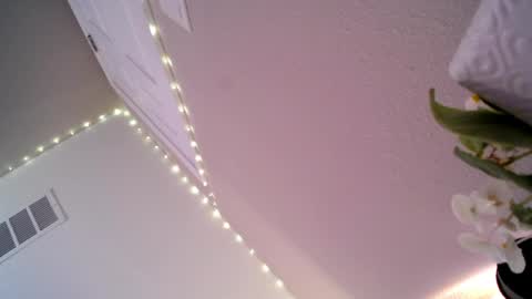 Princess online show from April 11, 3:00 am