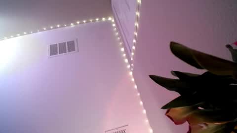 Princess online show from March 1, 12:37 am