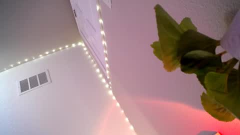 Princess online show from June 13, 3:28 am