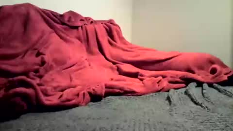 sexygg8331 online show from December 16, 1:10 am