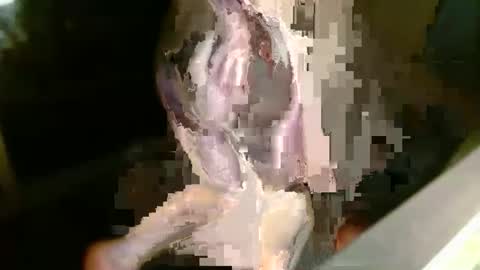 SexyMaleana online show from April 22, 5:14 am