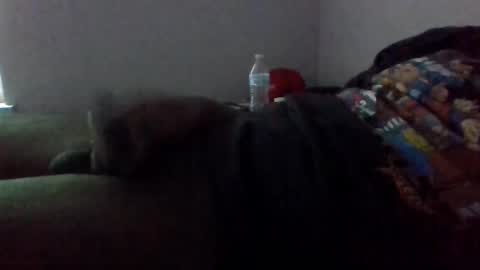 Shameak online show from October 31, 9:15 pm