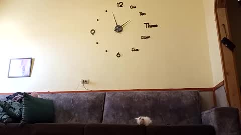 shelo390513 online show from April 23, 5:58 pm