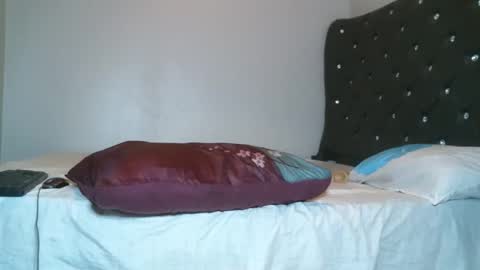 Snapshot of shiro254 chatting on October 29, 8:31 pm Shi-ro online show from October 29, 8:31 pm