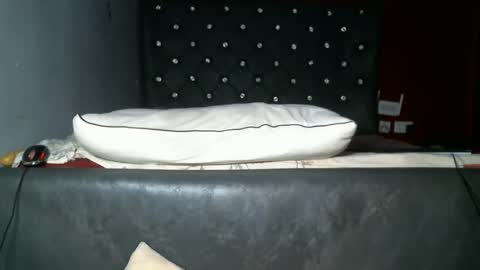 Snapshot of shiro254 chatting on October 4, 11:46 pm Shi-ro online show from October 4, 11:46 pm