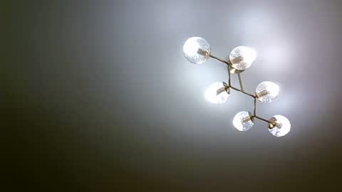 shiva245 online show from February 19, 7:59 pm