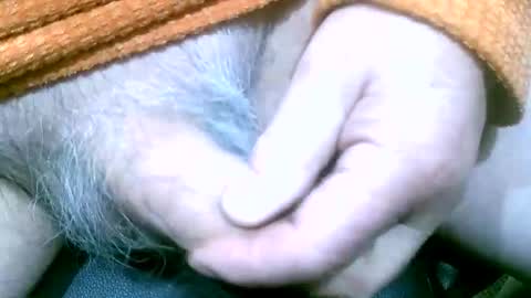 shootertog online show from March 17, 10:09 am