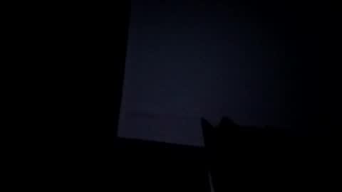 showkink online show from December 16, 12:51 am