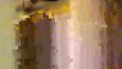 Snapshot of shysadguy67706220 chatting on October 19, 3:38 pm shysadguy67706220 online show from October 19, 3:38 pm