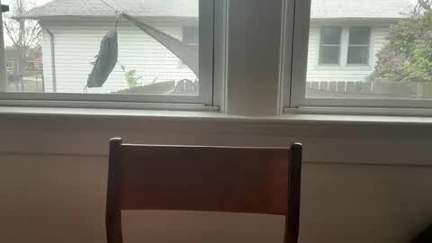 sie273 online show from April 11, 6:45 pm