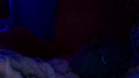 Siofra online show from November 17, 6:16 am