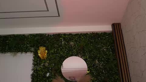 Dee online show from March 7, 8:42 pm