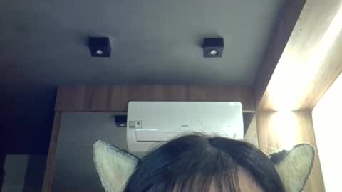 skinnykittencam online show from April 17, 2:14 am