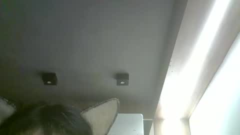 skinnykittencam online show from January 11, 5:57 am