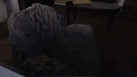 Snapshot of skyblu1 chatting on January 26, 3:17 am SKYLE online show from January 26, 3:17 am