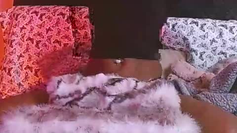 Skyn Like Henny online show from November 14, 8:27 am