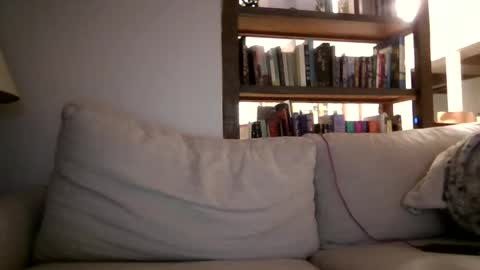 Sky Winters online show from November 24, 1:48 am