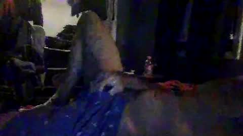 slimeguy315 online show from October 11, 6:40 am