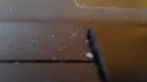 Jemila online show from January 29, 1:27 am