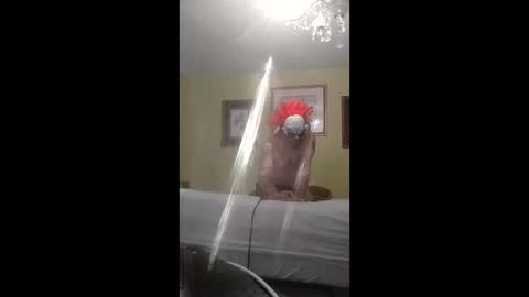 slint_buhhda152 online show from April 24, 1:13 pm