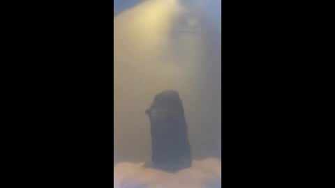 smcock68 online show from March 29, 2:13 am