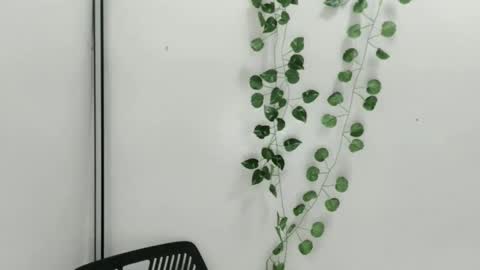 Julia online show from October 9, 6:52 am