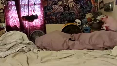 Daisy online show from June 23, 10:27 pm