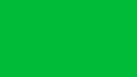 snap2509 online show from March 4, 10:34 am