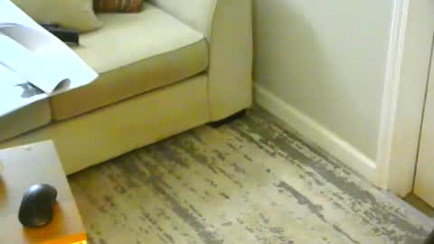 snizniz online show from January 21, 6:23 pm