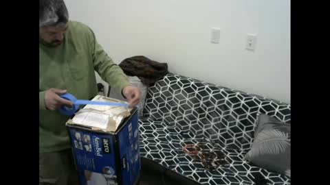 snizniz online show from February 11, 6:30 am