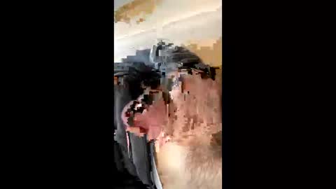 Snapshot of sobigfromitaly chatting on October 22, 12:29 pm sobigfromitaly online show from October 22, 12:29 pm