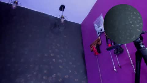 Alexa online show from March 26, 7:41 pm