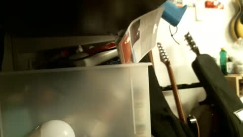 BruceWilly online show from January 26, 8:23 pm