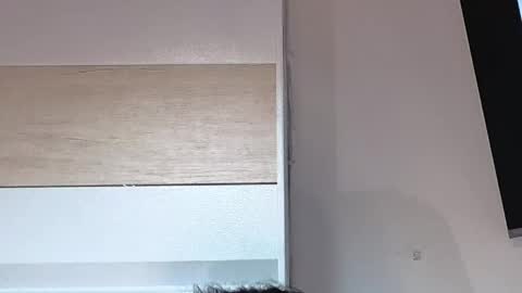 Sophiee online show from April 21, 2:51 am