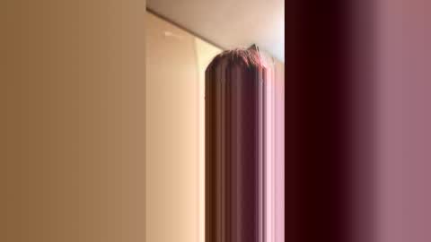 ivy online show from March 22, 12:09 pm