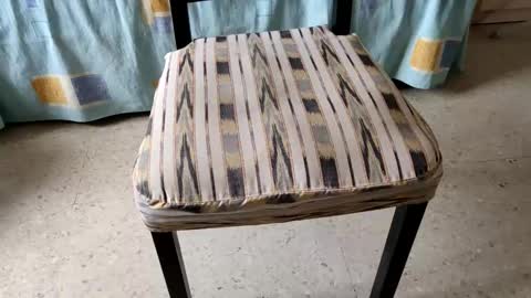 Leo online show from November 7, 3:03 pm