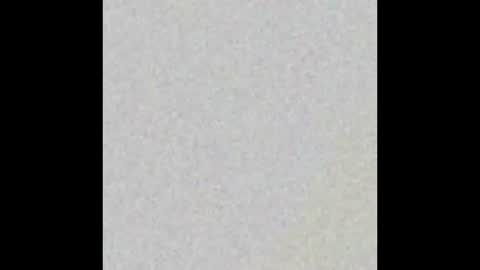 speedfreekeespun online show from November 25, 11:20 am