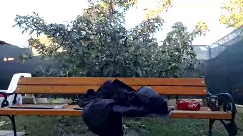 Snapshot of squirt_bunny77 chatting on October 22, 6:05 am My name is Maya Lush is activeThere are legends that in this room all your wishes can come true Private is Open online show from October 22, 6:05 am