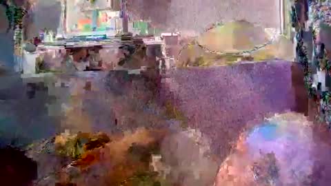 srekos38 online show from April 20, 5:43 am