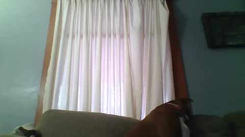 sss591508 online show from February 1, 3:20 pm