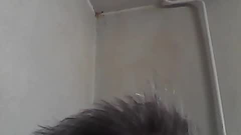 sssuperbaby online show from March 25, 4:14 pm