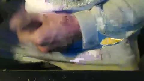 Snapshot of stalloneumbro chatting on October 18, 10:03 pm CIPPALIPPA online show from October 18, 10:03 pm