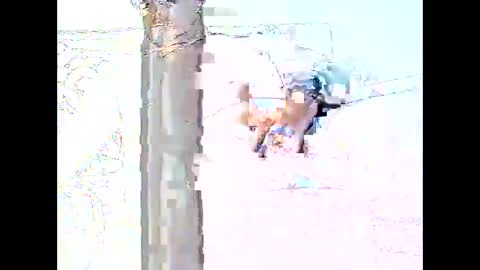 star0806666a online show from April 19, 6:10 pm