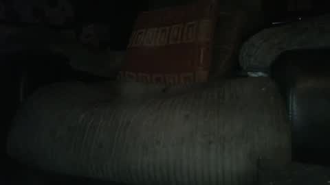 Snapshot of ste_wulf chatting on March 4, 1:34 am ste_wulf online show from March 4, 1:34 am