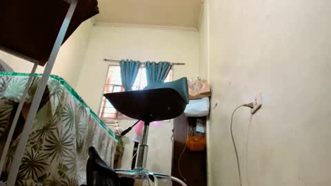 stefania online show from February 11, 2:37 am