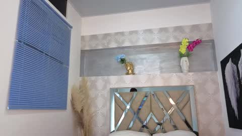 Steicy online show from April 8, 4:43 pm