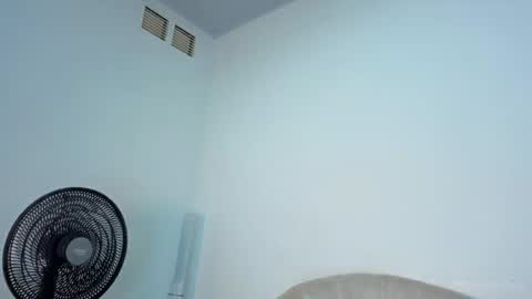 Steicy online show from April 12, 3:38 pm